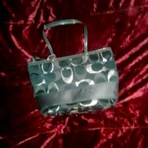 Jade Green Coach purse